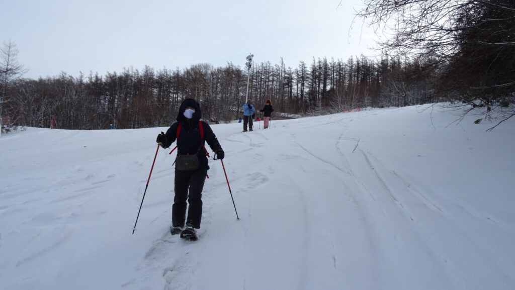 Snowshoe Adventure