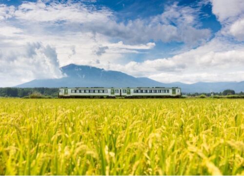 Enjoy autumn scenery on the Hanawa Line and experience the local art of geothermal dyeing</trp-post-container