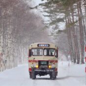 Arrive in style in a retro 'bonnet bus