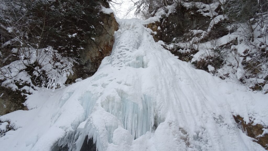 Snowshoe Adventure