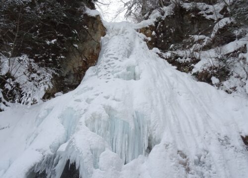 Discover the Magical Landscapes of Hachimantai’s Powder Snow Paradise on a Guided Snowshoe Adventure in Japan!