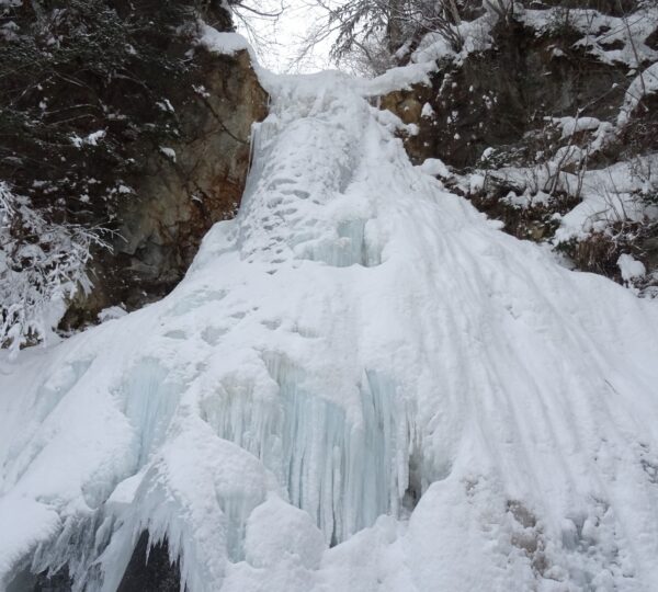 Snowshoe Adventure