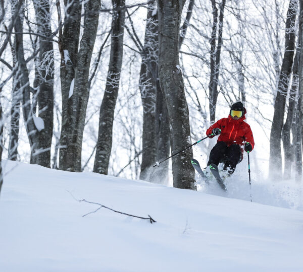 Tree Run Area