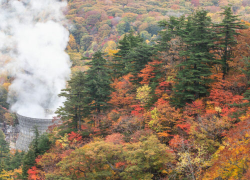 火山との共生　地熱活用体験