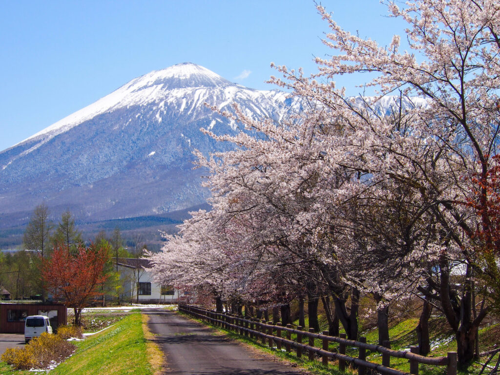 八幡平さくら公園