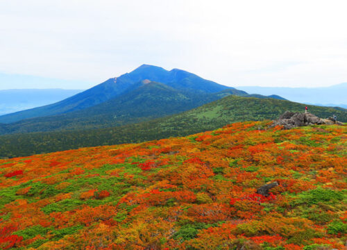 本州で最も早く楽しめる紅葉！松川の秘湯も合わせて体験