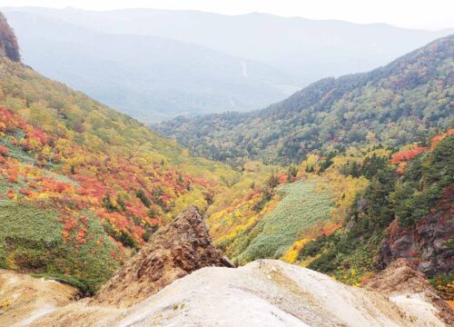 岩手山の秘境を発見しよう