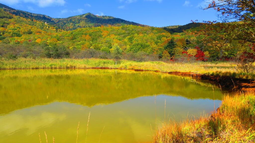 Goshikinuma (early October)